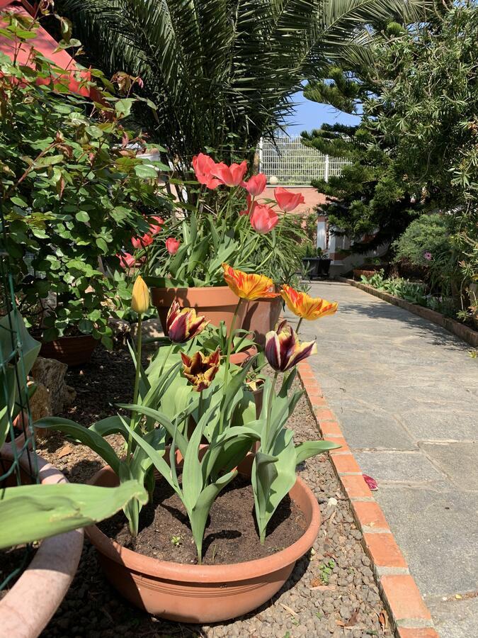 Resort Villa Rosa Maria Savona Ngoại thất bức ảnh